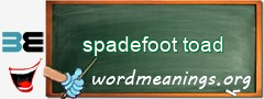 WordMeaning blackboard for spadefoot toad